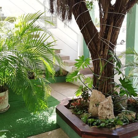 Quetzal Loft Lejlighed Cancún Eksteriør billede